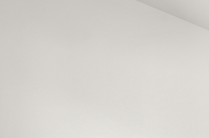 Large Bedroom with Bathroom